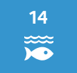 ODD 14 - Vie aquatique
